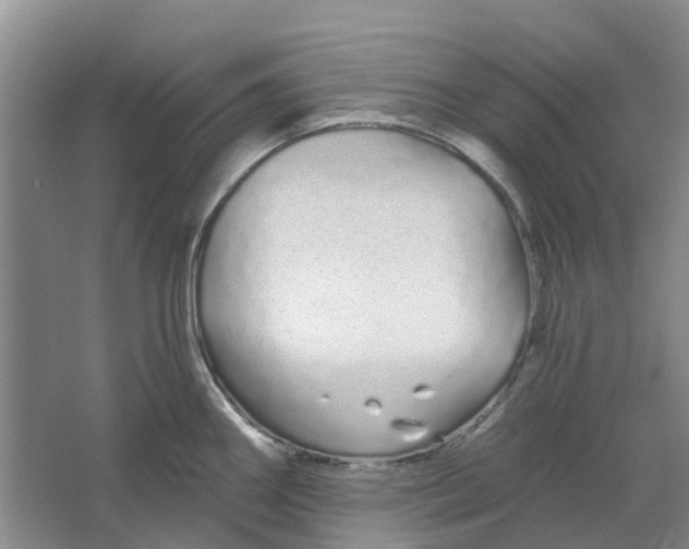 X0000064721290200602241625