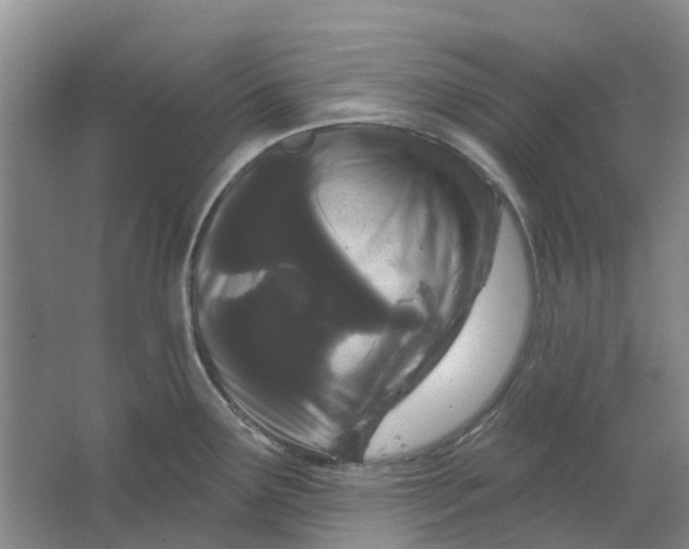 X0000064721291200602241625