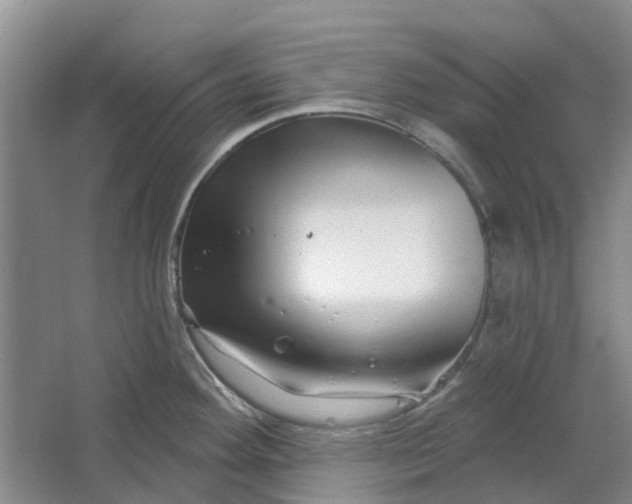 X0000064721292200602241625