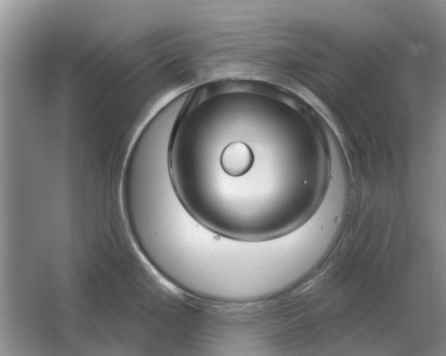 X0000064721293200602241625