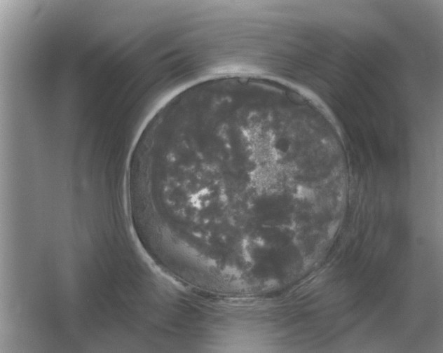 X0000064721295200602241625