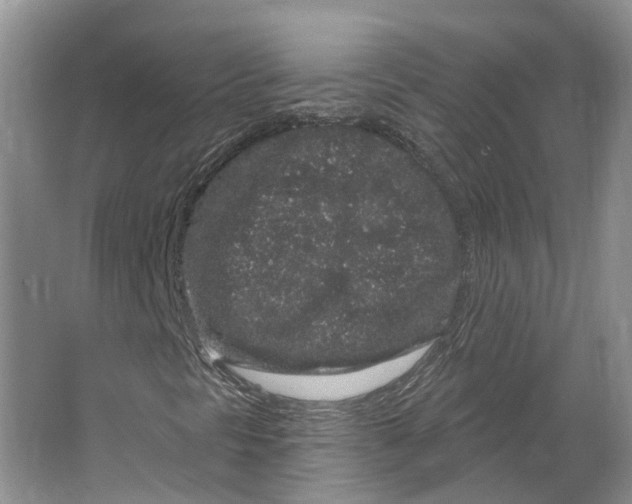 X0000064721297200602241623