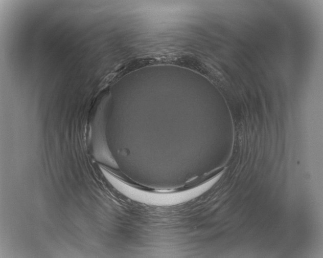 X0000064721298200602241623