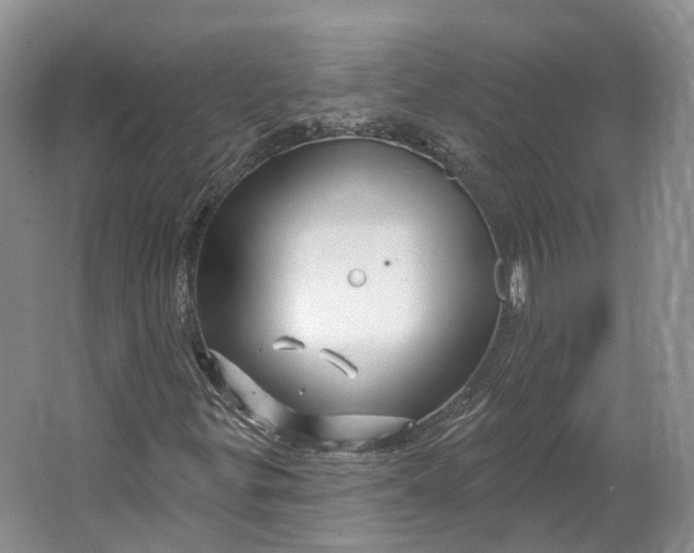 X0000064721299200602241623