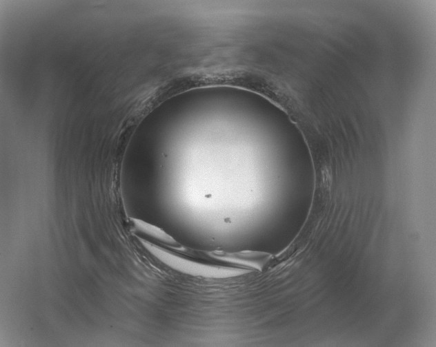 X0000064721300200602241623