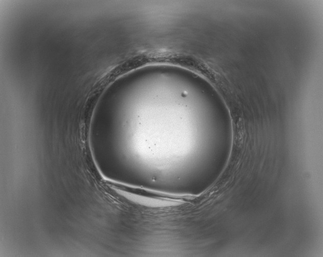 X0000064721301200602241623