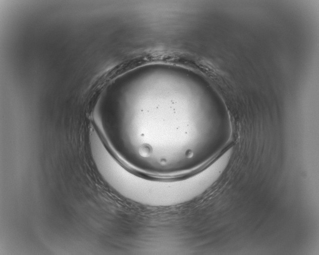 X0000064721302200602241623