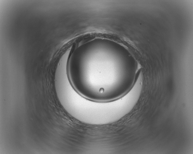 X0000064721303200602241623