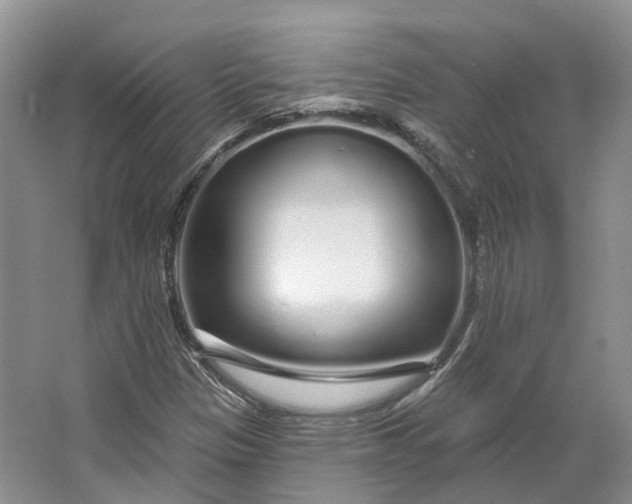 X0000064721305200602241623