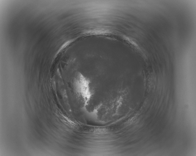 X0000064721306200602241623