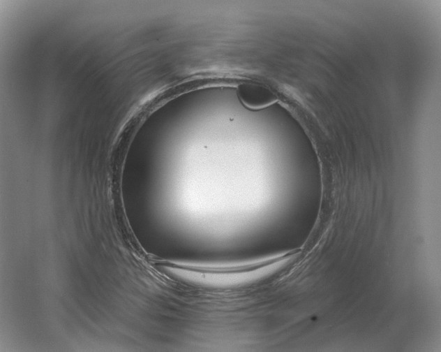 X0000064721307200602241624