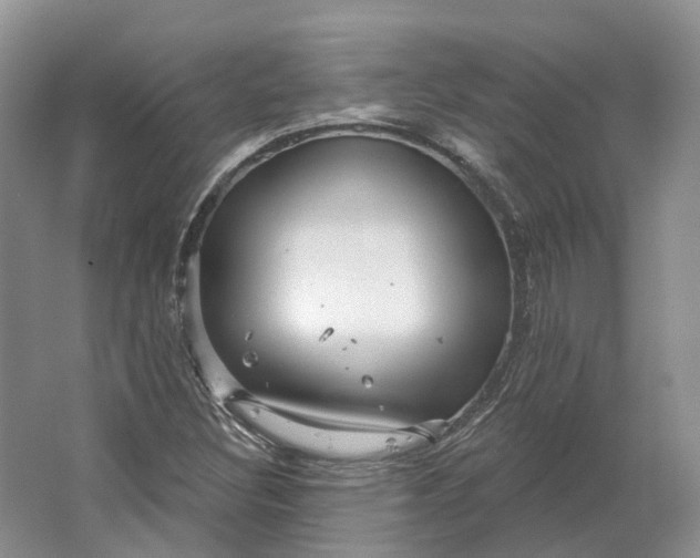 X0000064721308200602241624