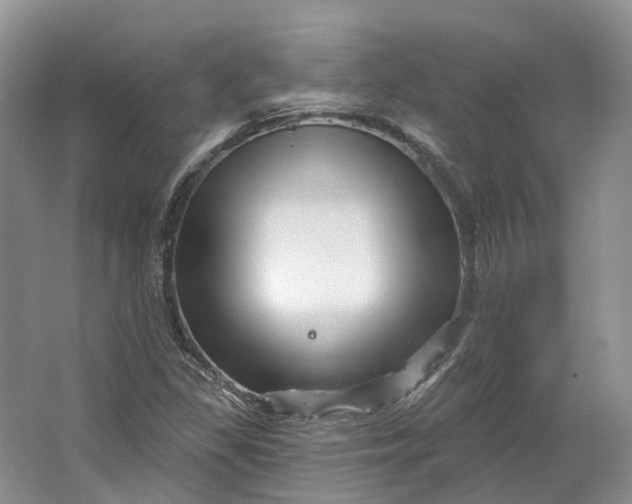 X0000064721309200602241624