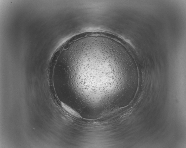 X0000064721311200602241624