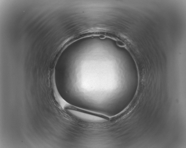 X0000064721313200602241624