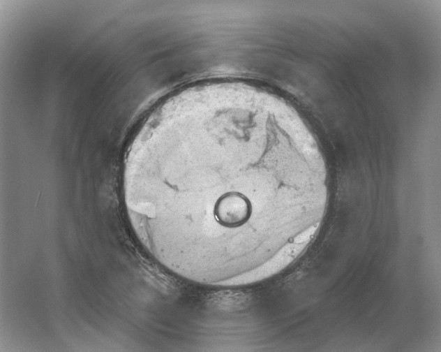 X0000064721314200602241624