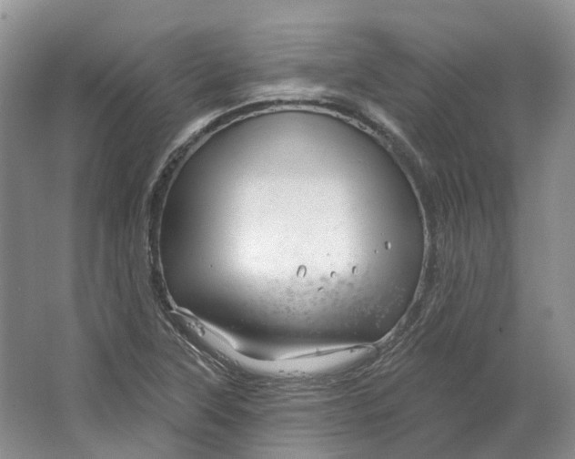 X0000064721315200602241624