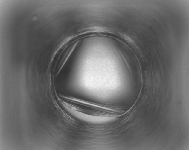 X0000064721318200602241624