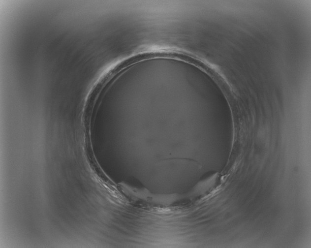 X0000064721319200602241624