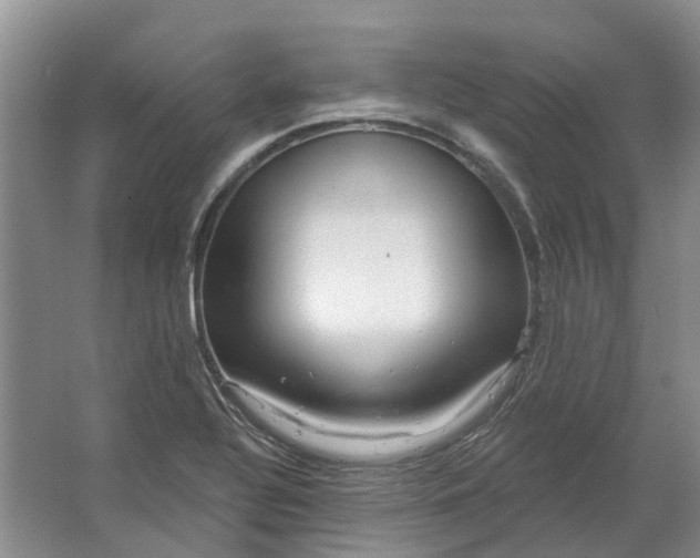 X0000064721320200602241624