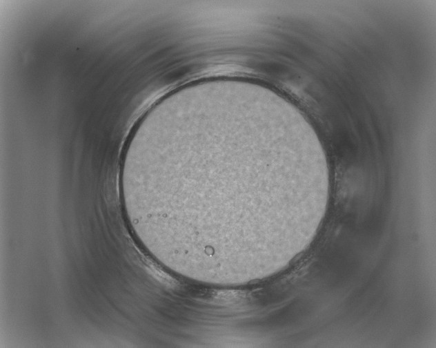 X0000064721322200602241624