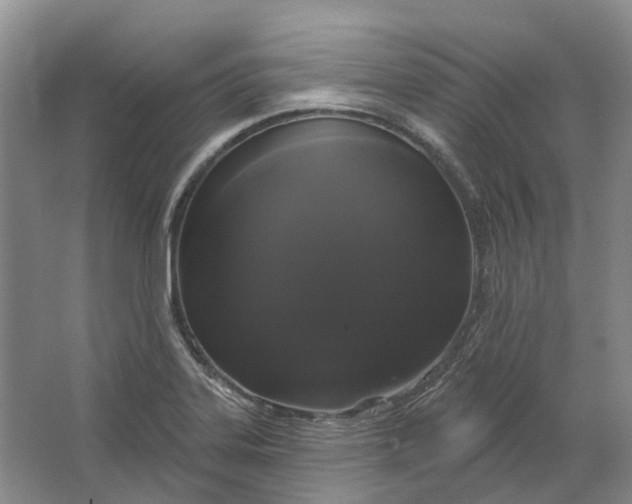 X0000064721323200602241624