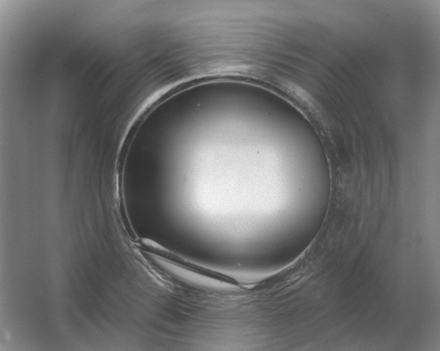 X0000064721324200602241624