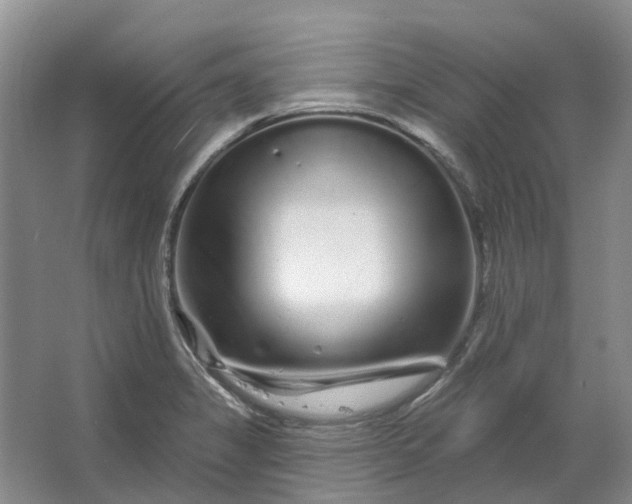 X0000064721325200602241624