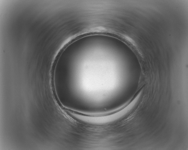 X0000064721326200602241624