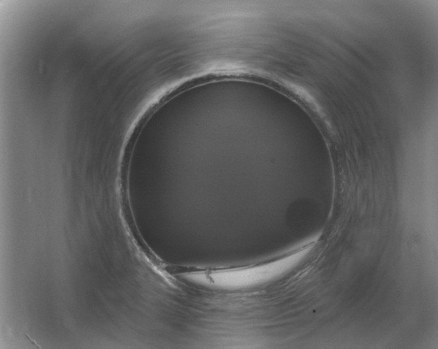 X0000064721327200602241624