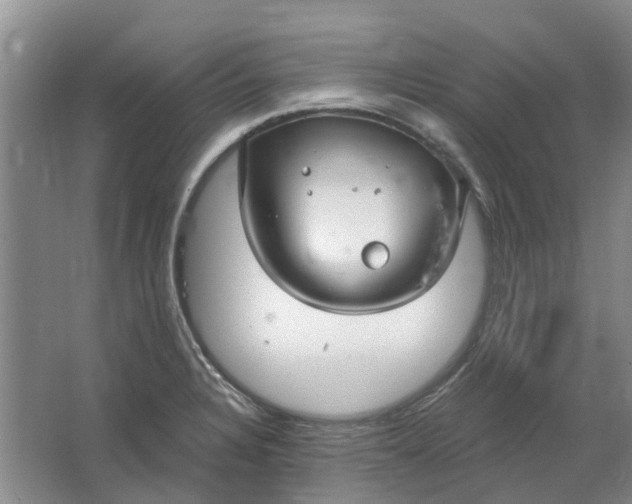 X0000064721328200602241624