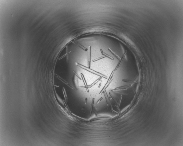 X0000064721329200602241624