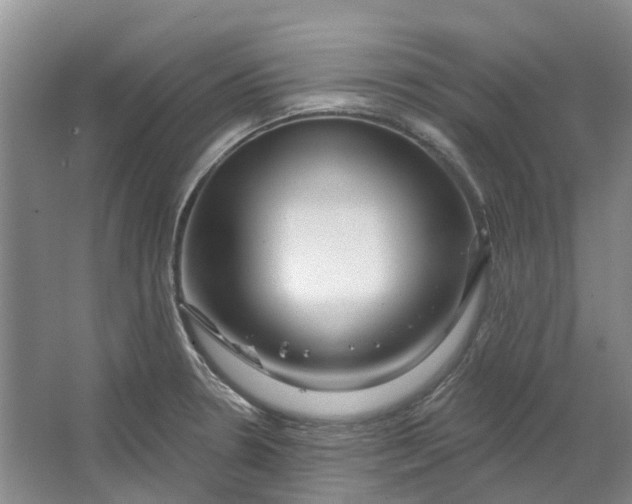 X0000064721330200602241624