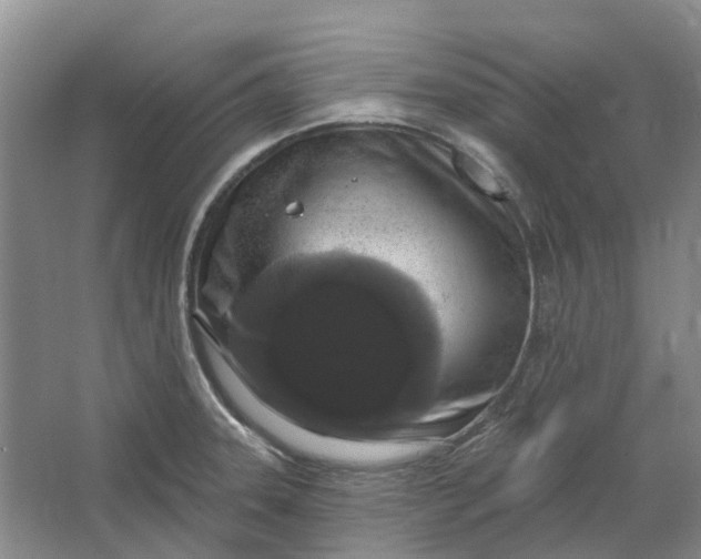 X0000064721331200602241624