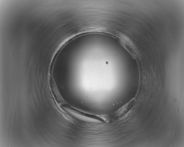 X0000064721332200602241624