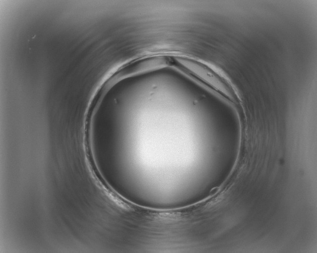 X0000064721333200602241624