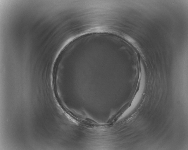 X0000064721334200602241624