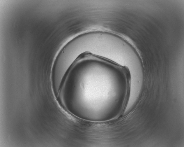 X0000064721335200602241624