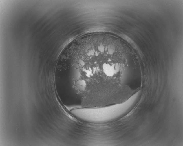 X0000064721337200602241624