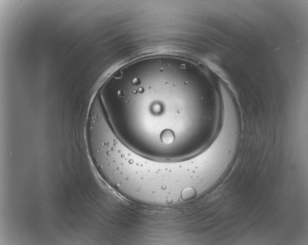 X0000064721338200602241624