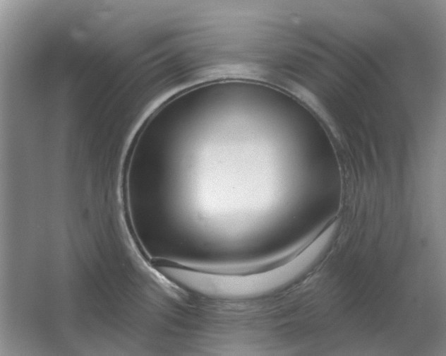 X0000064721339200602241624