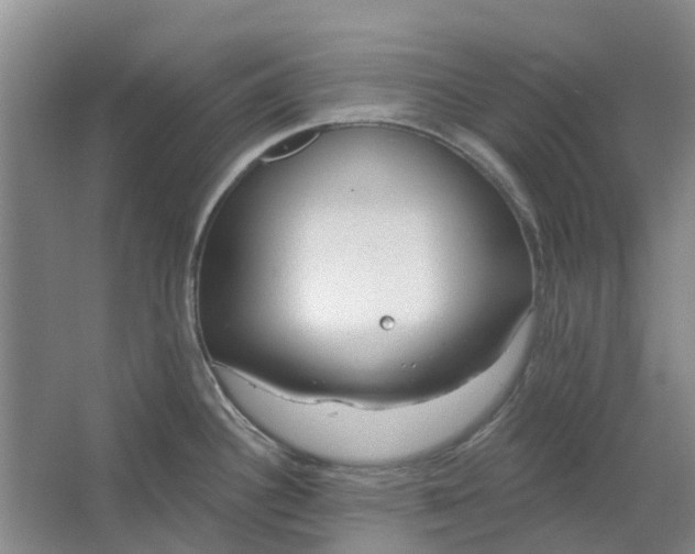 X0000064721340200602241624