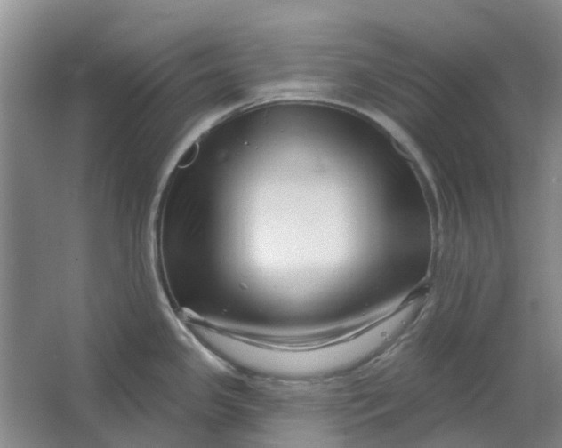 X0000064721341200602241624