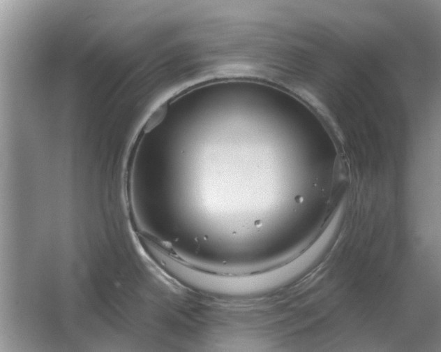 X0000064721342200602241624