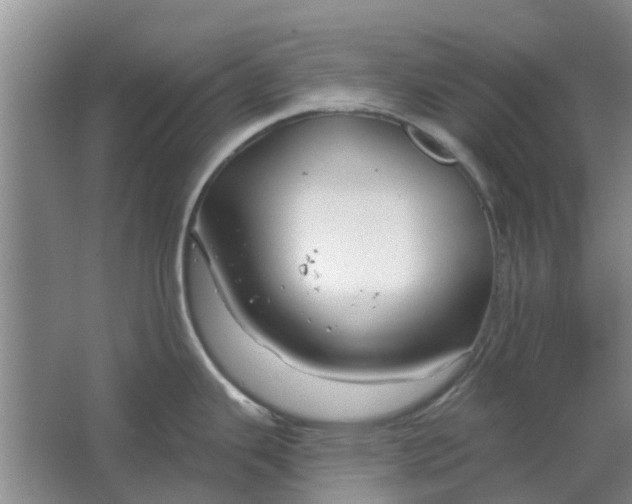 X0000064721343200602241624