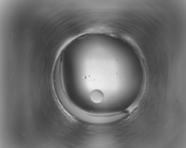 X0000064721344200602241624