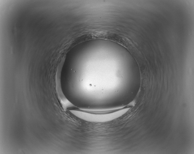 X0000064721345200602241623