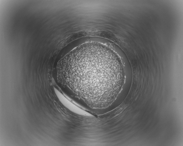 X0000064721346200602241623