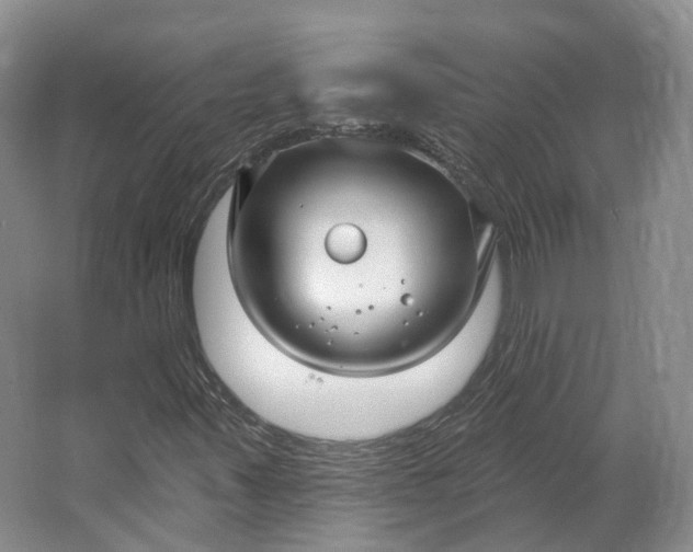 X0000064721347200602241623