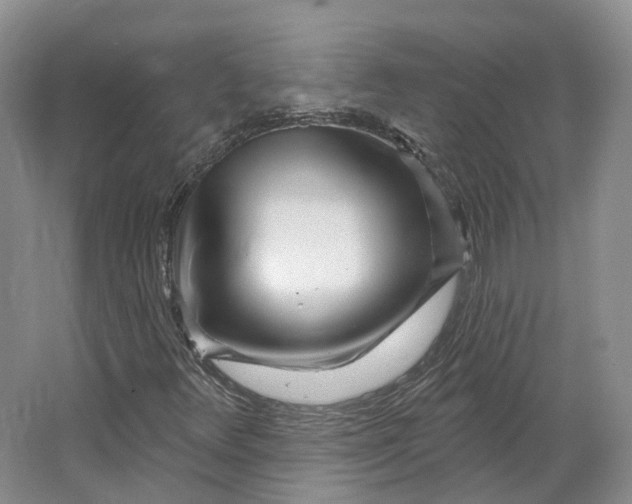 X0000064721348200602241623